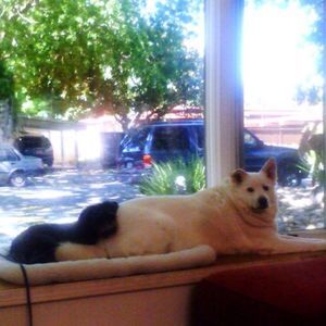 Meet your Posher, Ellyn